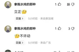 IP地址可随意切换.可有可无的功能.图片