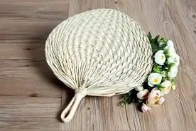 胡展奋：蒲扇缘图片