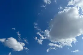 see,watch,look 三个看的区别图片