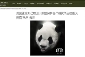 最新！“乐乐”死因公布图片