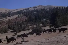 一部感动到哭震撼人心的《冈仁波齐》，你看过吗图片