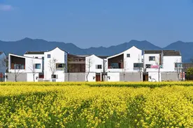 浙江省2月最新49个农林水利项目汇总清单来了，已审批，即将开工图片