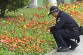 有人在南门桥附近发现成片“野罂粟”，马上报警，没料…图片