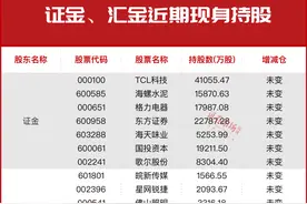 “国家队”中央汇金、证金最新重仓股名单，请收好！图片
