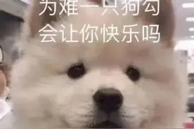 表情包|没关系，又活了一天，已经很厉害了图片