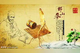 价值百万千万过亿的长白老山参，采挖时竟然有如此古老的规矩图片