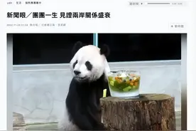 龙应台，被读者抛弃图片