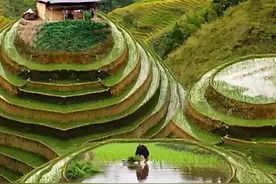 七年级下学期期中语文试卷（附答案）图片