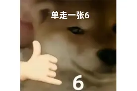 MM豆，人类的好朋友图片