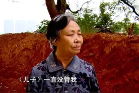 82岁老太为一只鸡逼得儿媳自尽，竟还想让孙子养老，孙子：想得美图片