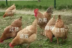 广东人过年的仪式感有多强？关于“意头”的那些事一件都不能少图片