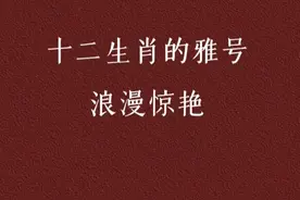 “十二生肖的雅号”浪漫惊艳图片