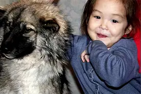 2014年，国外3岁女孩和狗同时失踪，11天后，狗狗独自回来搬救兵图片