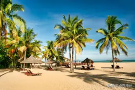 我国有2个省份，全境的高速公路都免费，但情况有很大不同图片