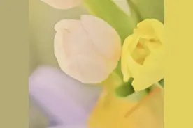 计谋和实力都远超于人的星座图片