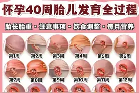 怀孕40周胎儿每周变化情况，孕妈妈了解一下吧图片