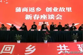 应城举行“蒲商返乡 创业故里”新春座谈会图片