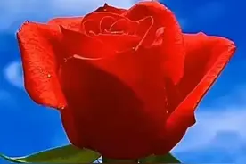 遇见你，是我的缘；珍惜你，是我应该做的事图片