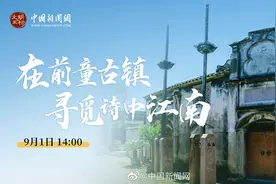 【#文明的坐标# | 青砖黛瓦、小桥流水 在前童古镇寻觅诗中江南视频封面
