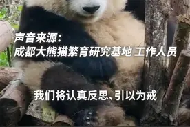 谭爷爷抱花花玩偶进京参加春晚，当天代班饲养员没照顾好花花本尊被解雇图片