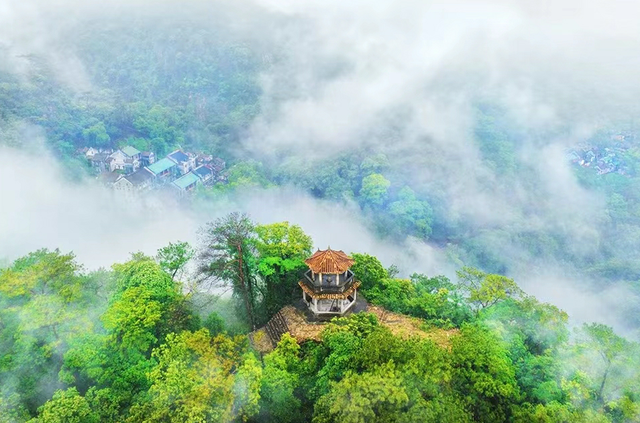 11月的清城，有大动作→