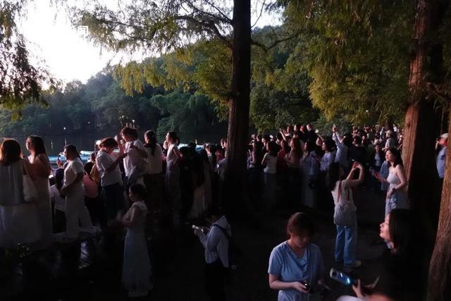 凌晨四点，西湖边挤满了！有人连夜从上海赶来！“这辈子总得看一回”