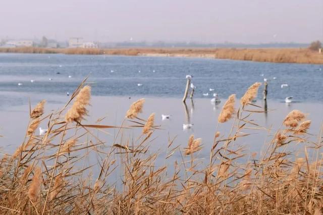 这个旅游打卡地因高铁开通“出圈”