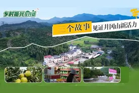 乡村振兴在行动丨三个故事见证井冈山新活力图片