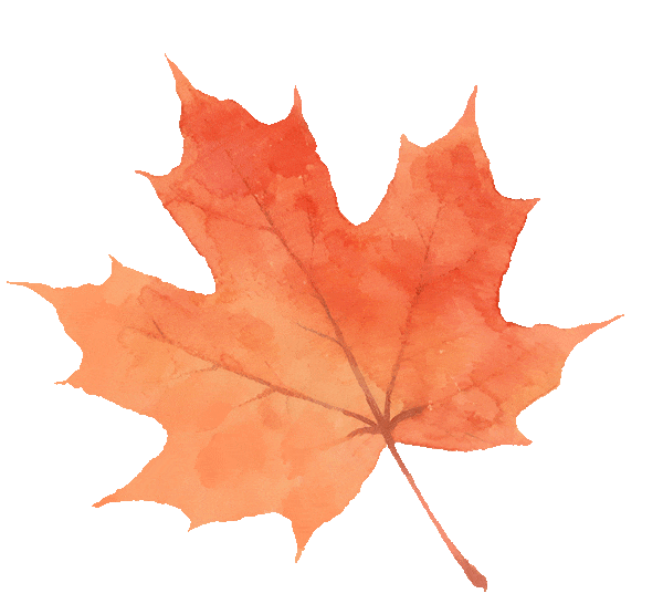 连晴！快出门秋游吧