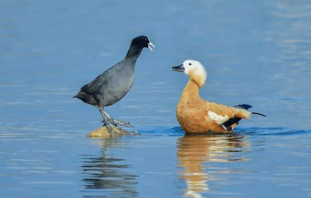 来保山，让冬日住进22℃的温柔里！