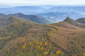 重庆巫山：梨子坪秋意浓图片