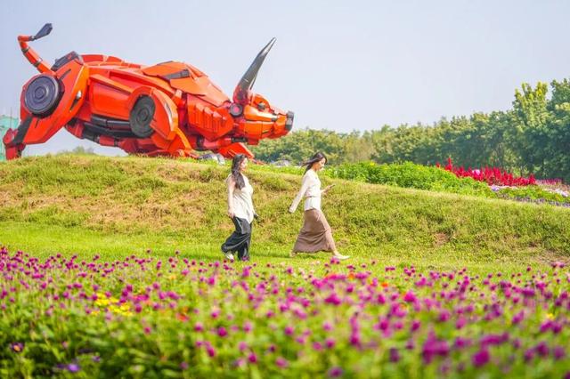 今开幕！顺义这片10万平米花海，壮观！