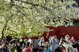 北京正式入春啦！比常年偏早7天图片