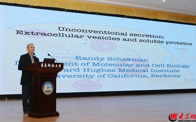 推动生物与医药学科建设迈上新台阶  青岛科技大学前沿生物医药技术研究院成立