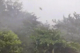 双台风+冷空气来袭 避风、防滑……样样都要注意图片