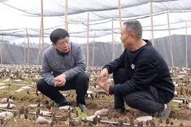 深壹度丨第五批“西老革”挂职干部结束挂职，他们为四川做了什么？图片