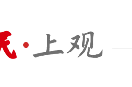 共绘公益保护最大同心圆，首届“嘉家安”公益保护十大案例出炉图片