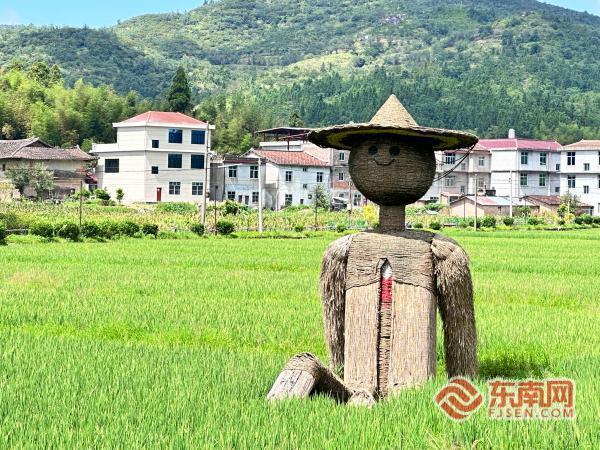 仙游钟山镇双村联动:南兴田园画卷与梅洋民宿风情邀您共赏