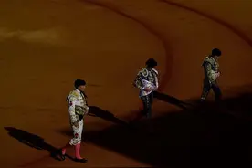 西班牙取消今年国家斗牛奖评选 同时启动废除该奖项程序图片