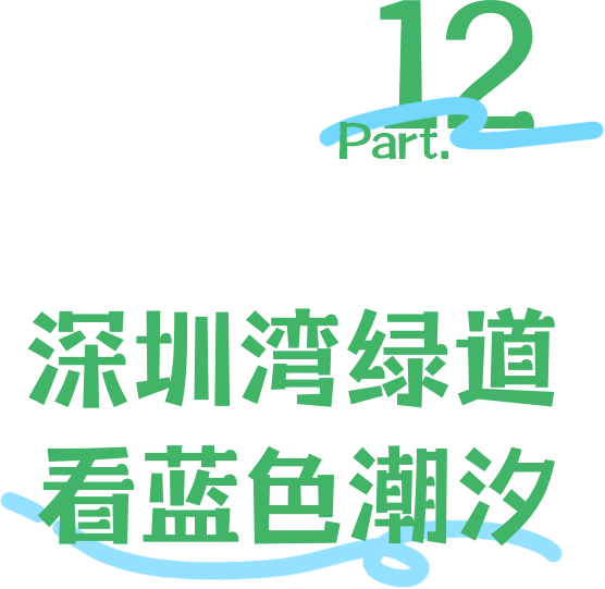 “看牛看海看夜景，深圳骑行路线精选”