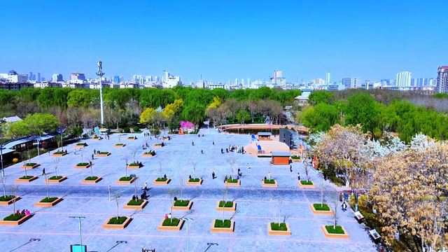 组图丨凉州植物园：夏荫消暑 荷风送香