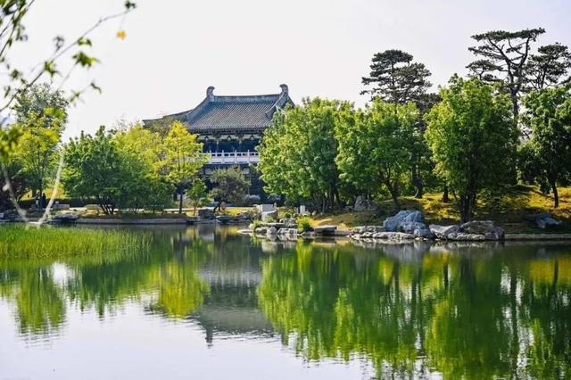 今儿起，在洛阳能边坐地铁边摸「文物」啦！