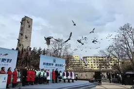 300只和平鸽被放飞，潍坊举办“国际和平城市”三周年纪念活动图片