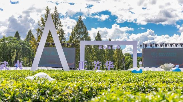 “三茶”统筹展新韵 人在草木品芳华 2025武夷山茶园文化季暨两山青年嘉年华在福建武夷山举行