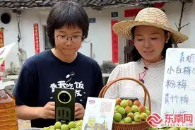 “农村电商新模式”赋能诏安红星青梅丰收季图片