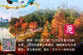读懂广州·粤韵丨麓青湖碧美如画，人憩桃源心悠然图片