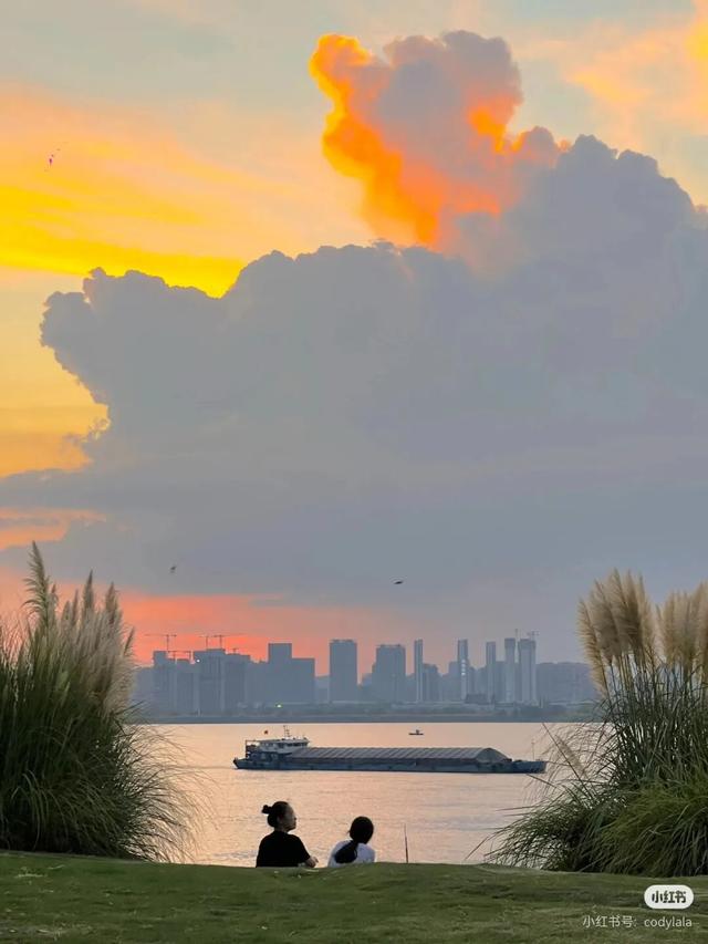 武汉秋天的第一波花海，香了！