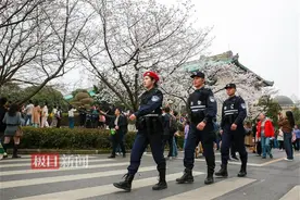 樱花盛开的首个周末，武汉警方全力守护“赏花游”图片