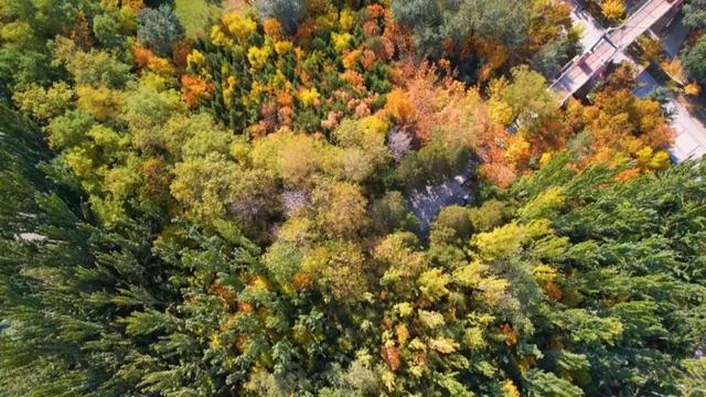 聚焦 || 银川全面入冬了？不！这里把“秋天”留下了……