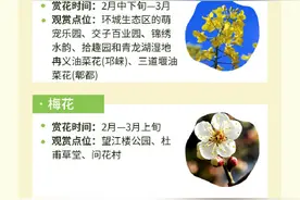 赶紧码住！川花观赏时间表来啦~图片